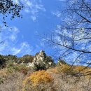 송이용소 이미지