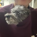 서정역로25번길 | 2025년의 끝자락 11월 일기 by. 행복한 돼지