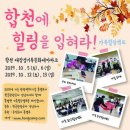 대장경테마파크 이미지