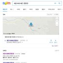 망고 애견 이미지