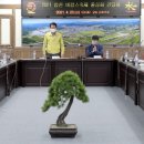 합천바캉스축제 이미지