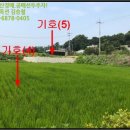 여주-1077 이미지