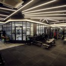 비바라짐 이미지