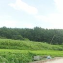 김태균공인중개사사무소 이미지