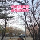 삼척엘림캠핑장 이미지