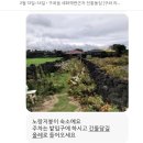구좌 라파 김두성 할머니집 이미지