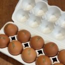 섬진축산 이미지