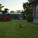 해남농장 이미지