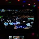 타잔소주호프노래타운 - 남구 왕생로40번길 23 | 타잔소주호프노래타운