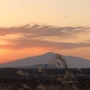 오션스타 이미지