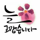 다건 이미지