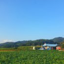 삼남매농수산물 이미지
