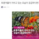 경남 토종작물 행사 이미지