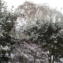 시골풍경 이미지