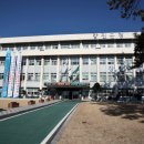 강진약국 이미지