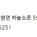 규멘돈 이미지