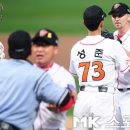 울프 - 중구 중구로24번길 12 | 울프