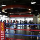 153 다이어트 복싱클럽 이미지