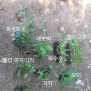 대광종묘사 이미지