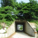 장정양오길 이미지