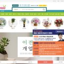 배철수 플라워