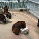 천안소소펜션 이미지