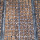 민수농장 이미지