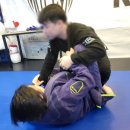 백운태권도 이미지