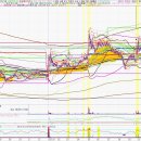 SH코스메틱 이미지