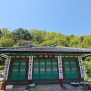 갑석이네 Daum카페
