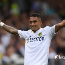 리즈펠리스 이미지