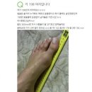400023 이미지