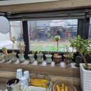 애니카랜드중촌점 이미지