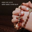 최경용 | 연중 제21주간 월요일