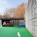 봉글봉글 이미지