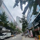 바디튠 동탄점에서 내돈내고 골드테라피 전신케어 받은 후기