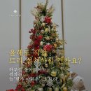 공공기관 행사장 | 크리스마스 대형 트리 대여 올해는 맡기세요 , 설치부터 철거까지 공공기관 카페 병원 행사장 필독