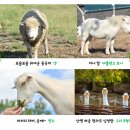 조이캐슬 이미지