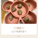 달중이네 | 소고기 밥볼 후기 이유식 만들기