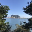 제주동마트 이미지