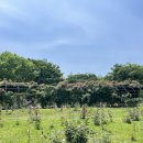 미니스톱 한강양화2점 이미지