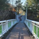 뿌리공원 둘레길 이미지