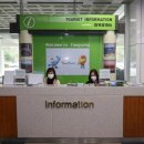 양양애서 이미지