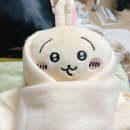 백구건강원 | 삶이 뜻대로 가지 않더라도