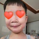[2024총정리] 올해 일상
