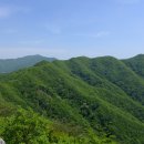 금남목장 이미지