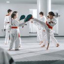 한국체대 MTA 태권도 이미지