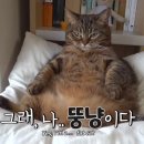 뚱이농장 이미지