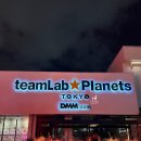 팀식스짐 | [1월 도쿄]내돈내산 팀랩 플래닛 후기, 팁, 예약링크, 시설