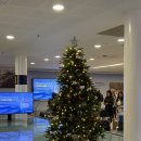 행복한우리동네의원 | 2025년의 마지막달 12월의 반절 🕰️